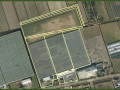 Tuinbouwweg 1D-3 Haarsteeg